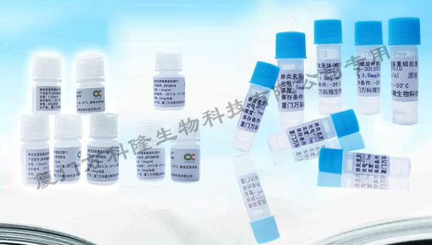 幽門螺旋桿菌(HSP60s)重組抗原